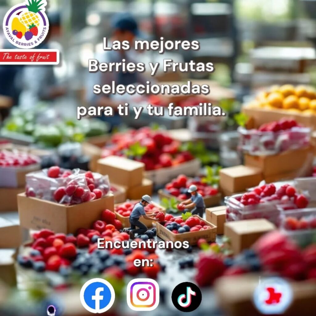 los mejores